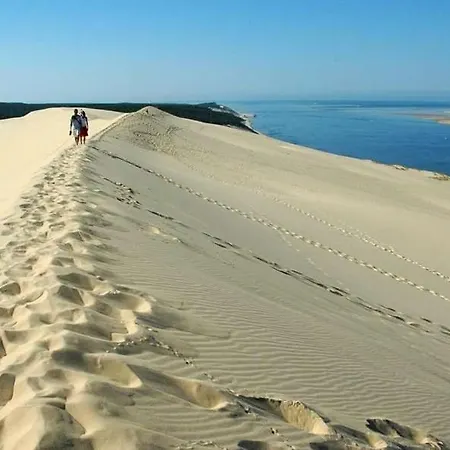 Lenoka Daire La Teste-de-Buch