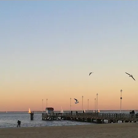 Lenoka Daire La Teste-de-Buch