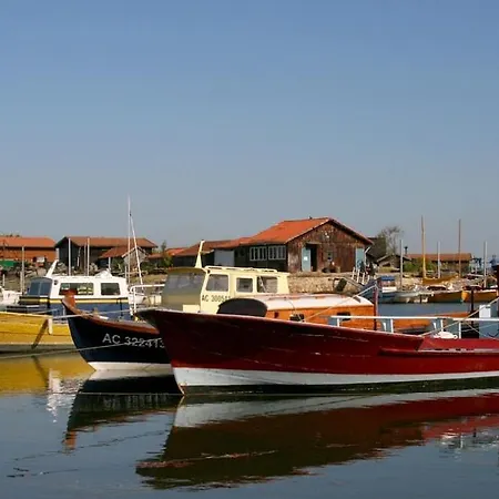 Lenoka * La Teste-de-Buch
