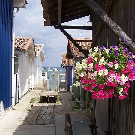 Lenoka * La Teste-de-Buch